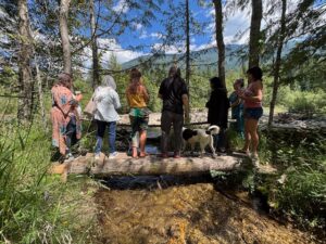 7-Day Pulse of the Earth: Diagnosis, Sound & Sacred Stewardship